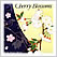 Cherry Blossoms: 桜の文様