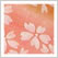 Cherry Blossoms: 桜の文様