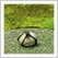 Incomparable Japanese Gardens