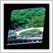 Incomparable Japanese Gardens