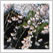 Kyoto Kyoto Kyoto