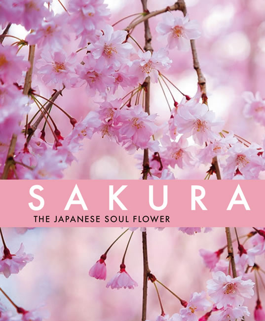 SAKURA: The Japanese Soul Flower 中身サンプル1