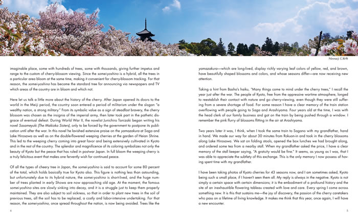SAKURA: The Japanese Soul Flower 中身サンプル3