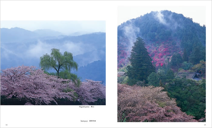 SAKURA: The Japanese Soul Flower 中身サンプル7