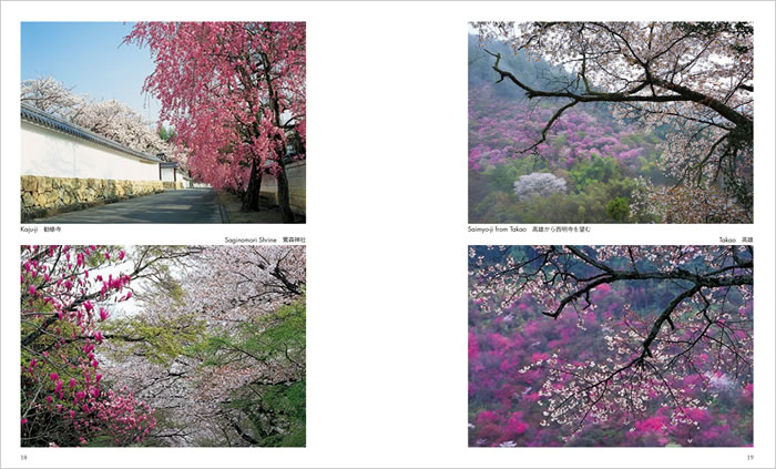 SAKURA: The Japanese Soul Flower 中身サンプル9
