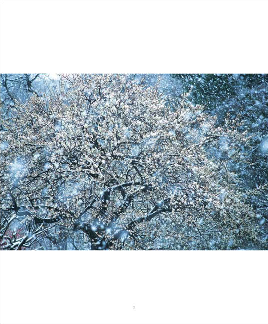 BEAUTIFUL JAPAN 中身サンプル1