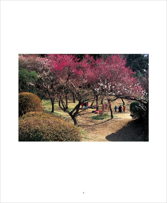 BEAUTIFUL JAPAN 中身サンプル2