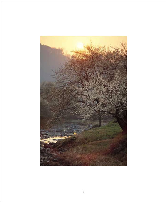 BEAUTIFUL JAPAN 中身サンプル3