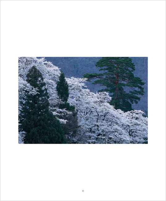 BEAUTIFUL JAPAN 中身サンプル5
