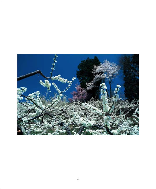 BEAUTIFUL JAPAN 中身サンプル6