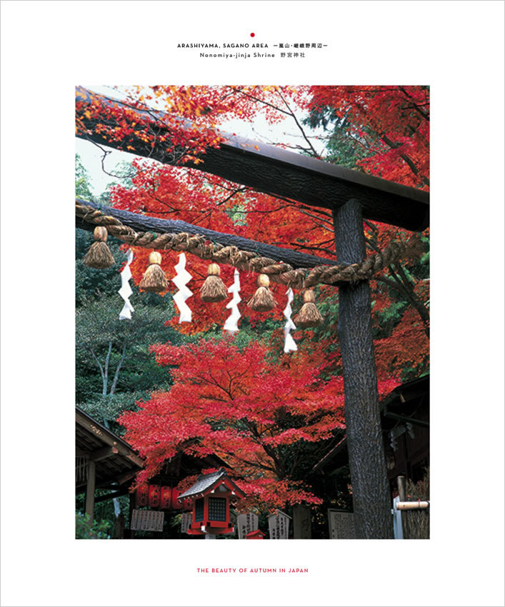 The Beauty of Autumn in Japan 中身サンプル5