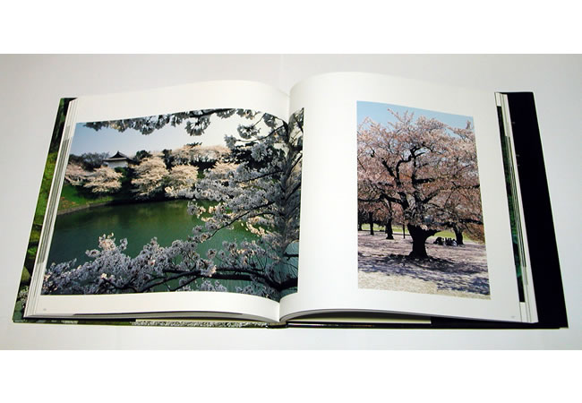 Incomparable Japanese Gardens 中身サンプル1
