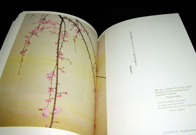 和花 (小林鷹) 中身サンプル2