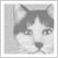 画報 猫づくし