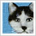 画報 猫づくし