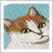 画報 猫づくし