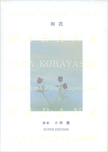 和花 (小林鷹) 中身を見る