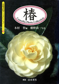 椿