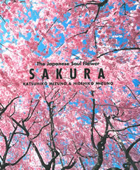 SAKURA: The Japanese Soul Flower