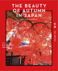 The Beauty of Autumn in Japan 紅葉