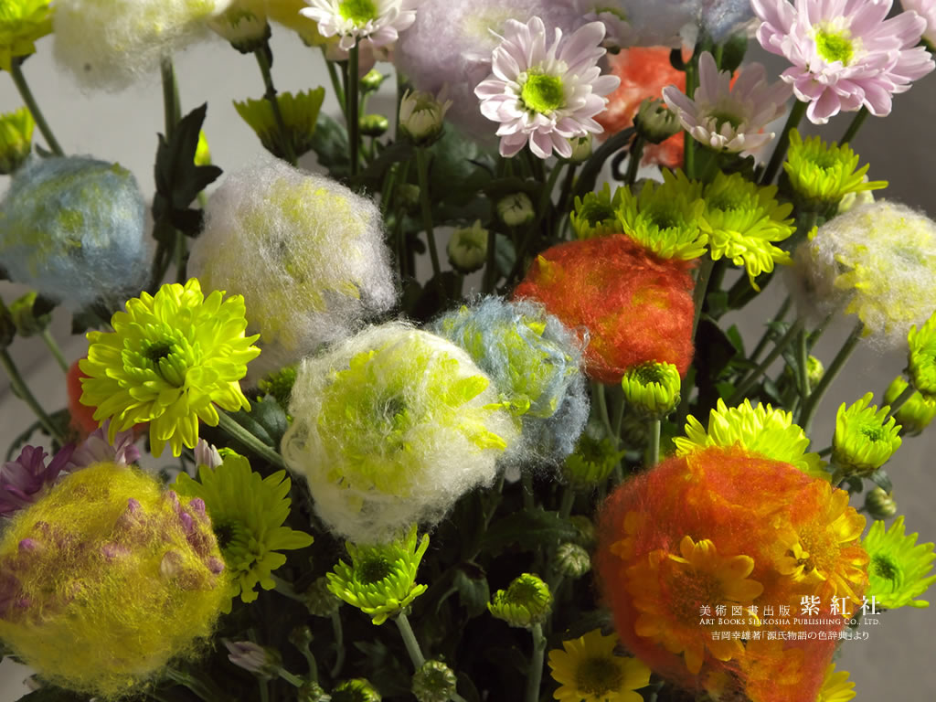 「菊の被綿」デスクトップ壁紙サンプル画像